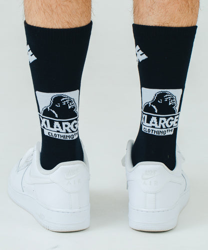 RANDOM LOGO SOCKS ACCESSORIES XLARGE  